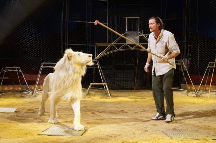 Aktionsbündnis „Tiere gehören zum Circus“ empfiehlt Tier-Dokumentation auf ARTE (FOTO)