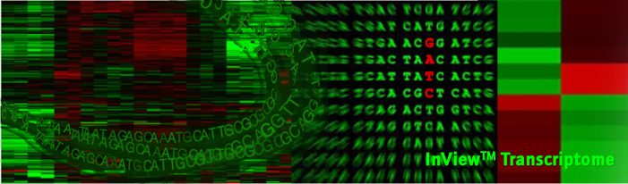 InView Transcriptome  GATC Biotechs Verbindung von Genom und Genfunktion