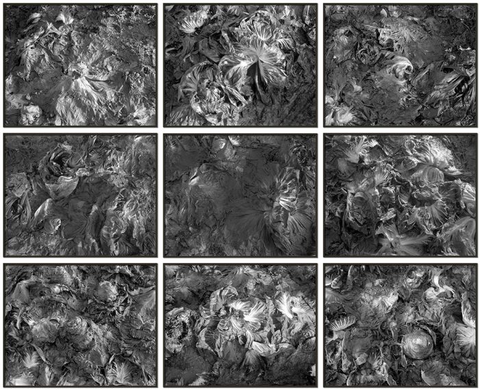 „Three-Act“ Ausstellung | Gallery Weekend 2014 | Eröffnung