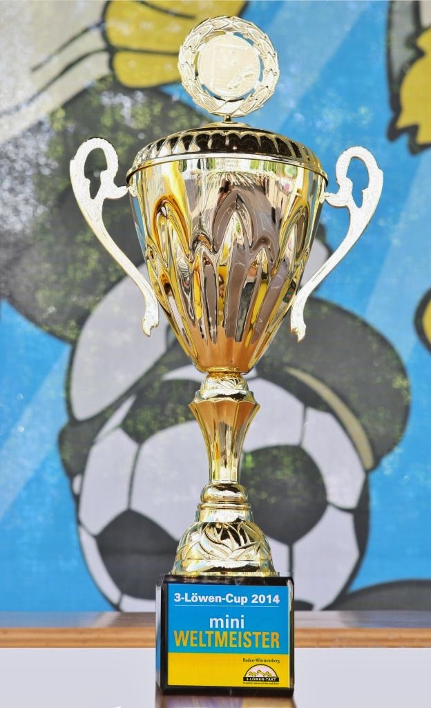 Anerkennung des DFB und Großes Finale der  3-Löwen-Cup mini-WM 2014