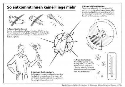 Wie schnappe ich eine Fliege? Wieöffne ich eine Tür? Wie binde ich mir die Schuhe? Neue Dokureihe zeigt Wissenschaft hinter Alltagsdingen (mit Infografik) (FOTO)