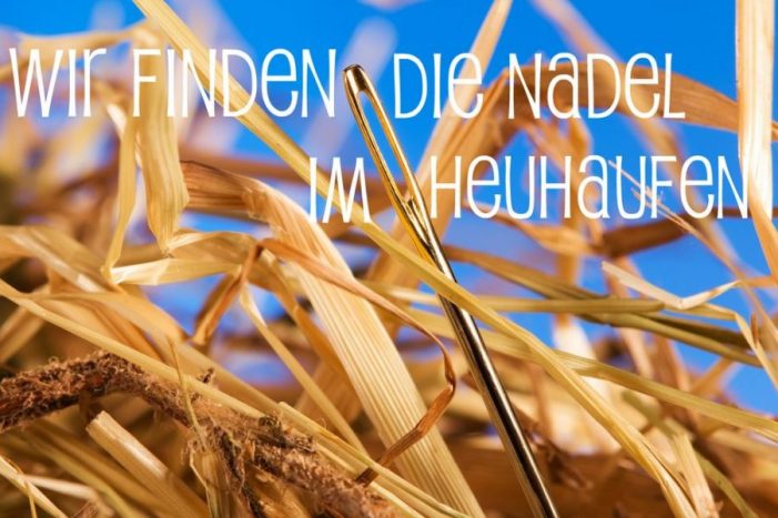 Phase: Marktrecherche und Ausschreibung