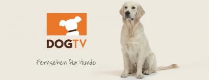 Fernsehen für Hunde nun auch in Deutschland: DogTV ab sofort bei Entertain, dem TV-Angebot der Telekom (FOTO)