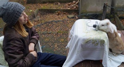 Siebenmal Gold, Silber, Bronze – Kaninhop-Europameisterin im Portrait – Broschüre * Kaninhop !*