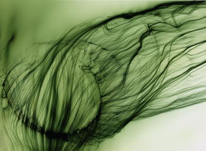 Wolfgang Tillmans – Hasselblad Award-Preisträger 2015 (FOTO)