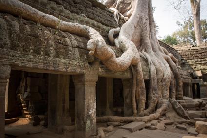 Das größte Wunder des Mittelalters / ZDFneo-Dokumentation über die kambodschanische Tempelanlage Angkor Wat (FOTO)