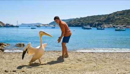 Pelikan als Hauptdarsteller: „Ein griechischer Sommer“ als Free-TV-Premiere im ZDF (FOTO)