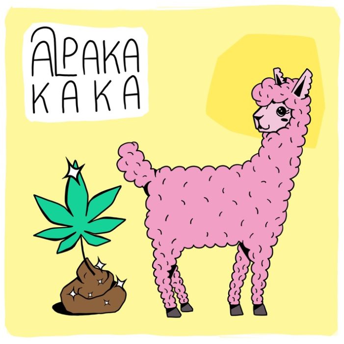 Neu in der ARD Audiothek: MDR-Podcast-Serie „Alpakakaka – Kiffen, Kot und Klöße“ (FOTO)