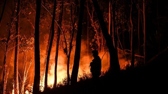 Programmänderung / Waldbrände in Europa: ARTE nimmt die Doku „Die Macht des Feuers. Wenn Europa brennt“ am Samstag, 23. Juli ins Programm (FOTO)