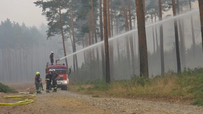 Explosionsgefahr im Wald: MDR-Webserie „exactly“über gefährliche Feuerwehreinsätze (FOTO)