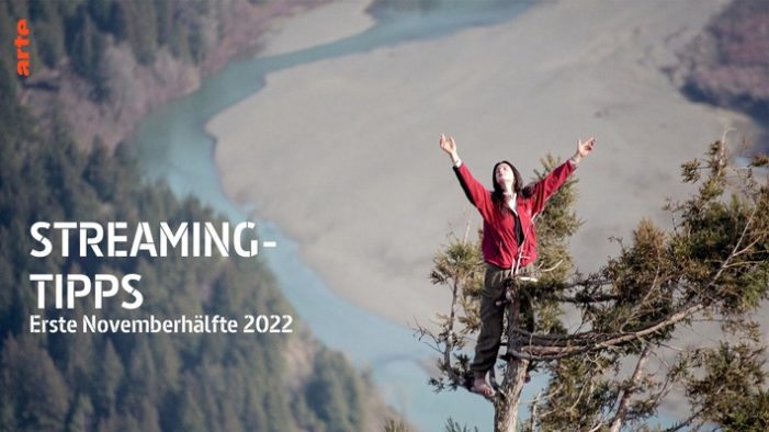 Aktuelle Streamingtipps aus der ARTE-Mediathek: COP 27-Schwerpunkt, Katar – Gas und Spiele, Die langen Nächte der Lucarne, Art Crimes, Pride u.v.m. im November auf arte.tv (FOTO)