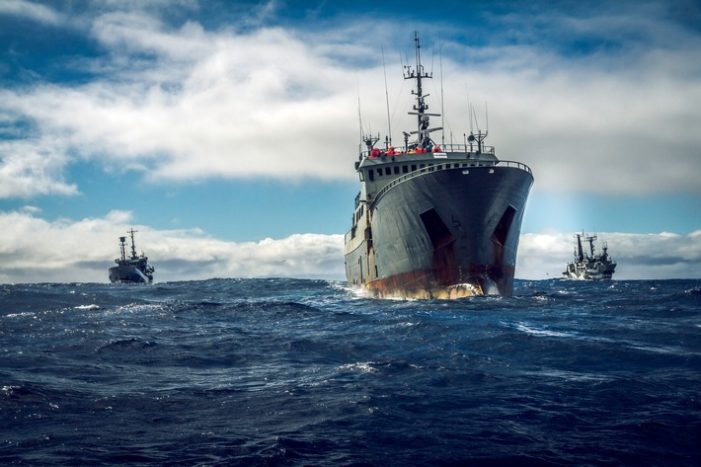 Aktuelle Streamingtipps aus der ARTE-Mediathek: ArteKino Festival | Moderat im Pariser Grand Palais | Arbeit ohne Sinn | Sea Shepherd u.v.m in der ersten Dezemberhälfte auf arte.tv (FOTO)