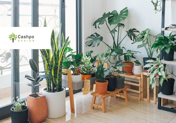 Topfblumen von Cashpo Design – die ultimative Wohnraumdekoration