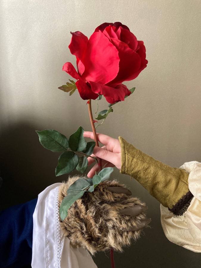 Die Schöne und das Tier im Münchner Theater für Kinder