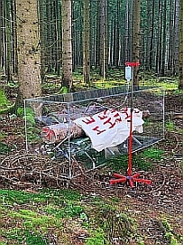 Osthaus Museum Hagen: Niclas Castello: Born to be Alive – Die Natur als Patient