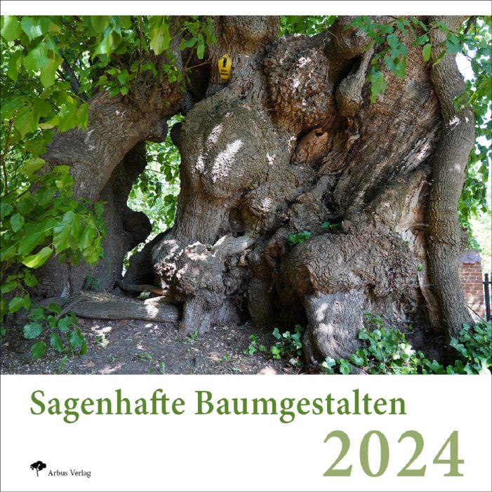 Kalender 2024 – Baumleben – Baumgestalten – Faszination der Bäume – Baumleben