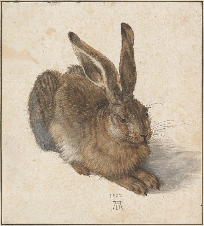 „Denn wahrhaftig steckt die Kunst in der Natur. Wer sie heraus kann reißen, der hat sie.“ Albrecht Dürer