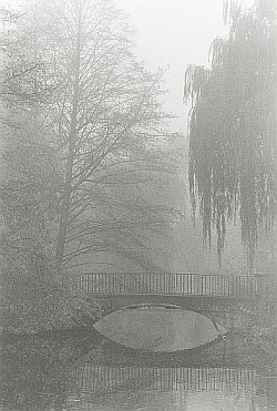 Liebe, Tod und Vergänglichkeit – Fotoarbeiten von Eva Rubinstein in Düsseldorf