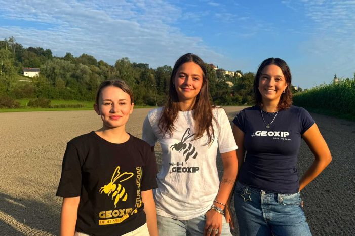#vielebienen – Nachhaltig investieren und etwas verändern: Startup Aktien von GEOXIP