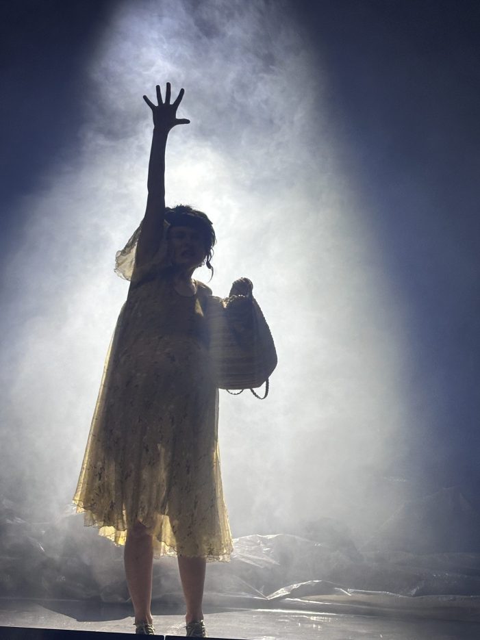 Deutsches und Ungarisches Staatstheater im rumänischen Temeswar – Showcase 2025