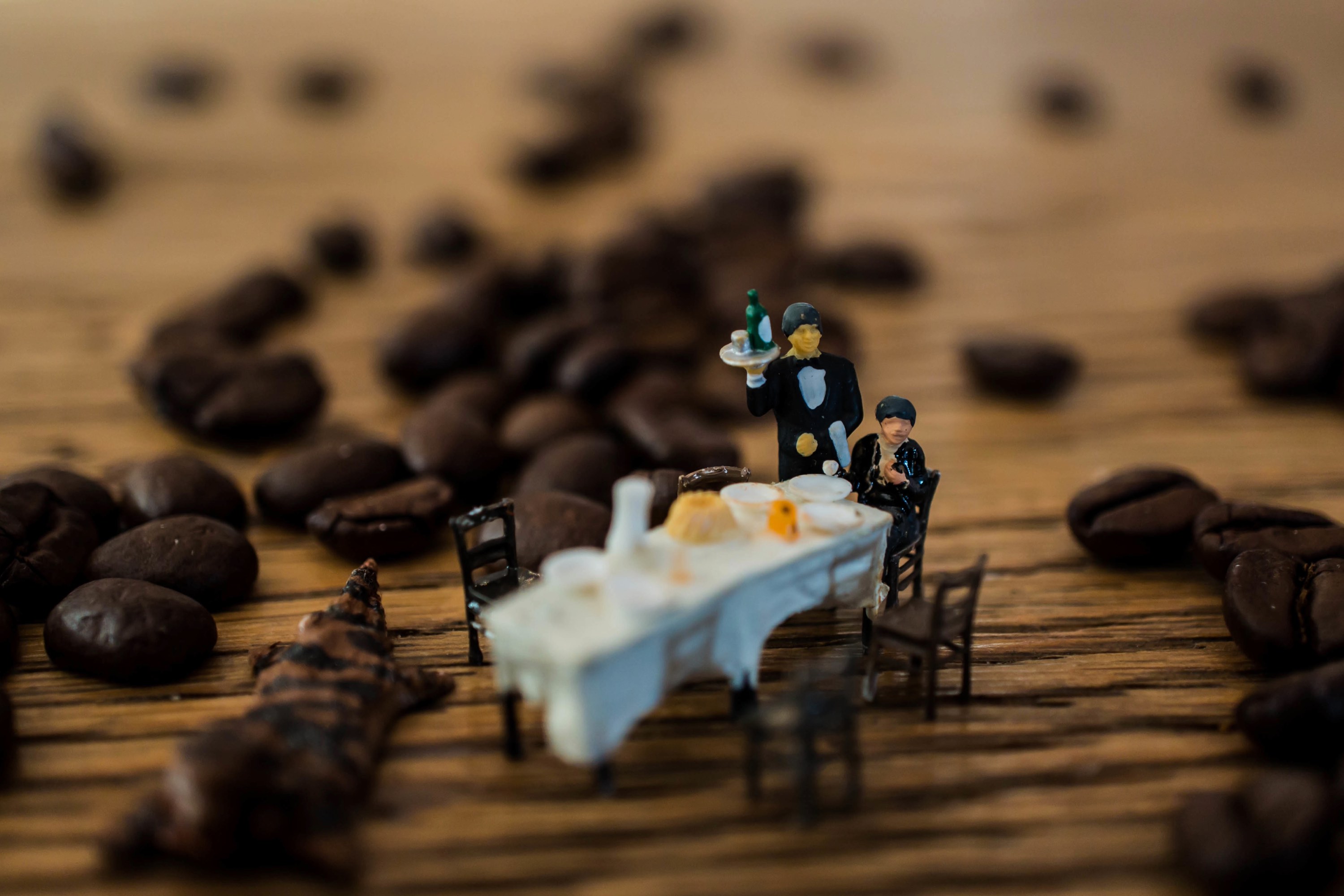 Dinner for one?