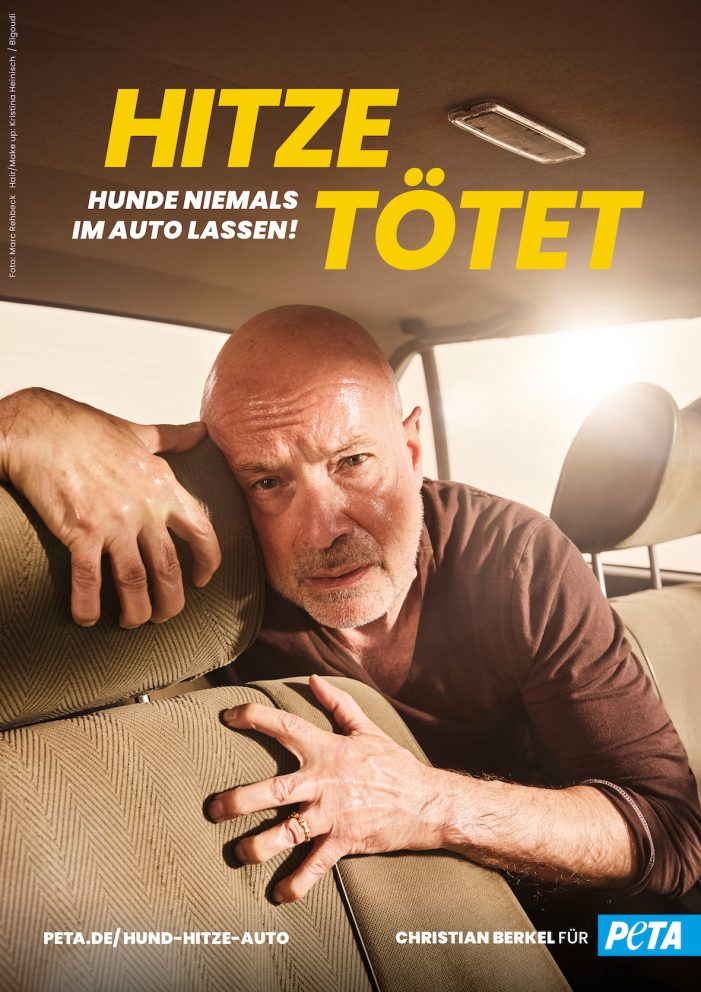 Christian Berkel kommt für Hunde ins Schwitzen: Neues PETA-Motiv zeigt Schauspieler in lebensgefährlicher Hitzefalle Christian Berkel kommt für Hunde ins Schwitzen: Neues PETA-Motiv zeigt Schauspieler in lebensgefährlicher Hitzefalle