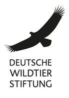 Der Feldhamster-Nachwuchs ist da. Er braucht Schutz – und freiwillige Helfer