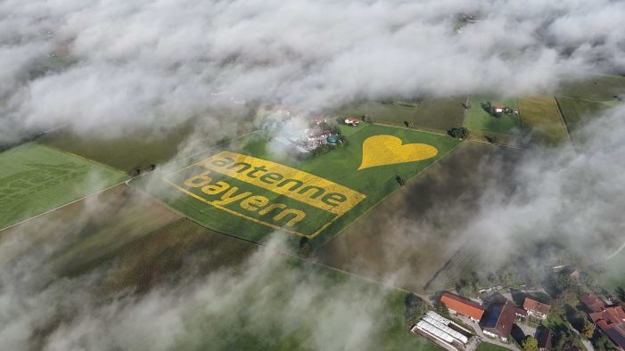 Antenne Bayern Logo erblüht in Millionen Sonnenblumen