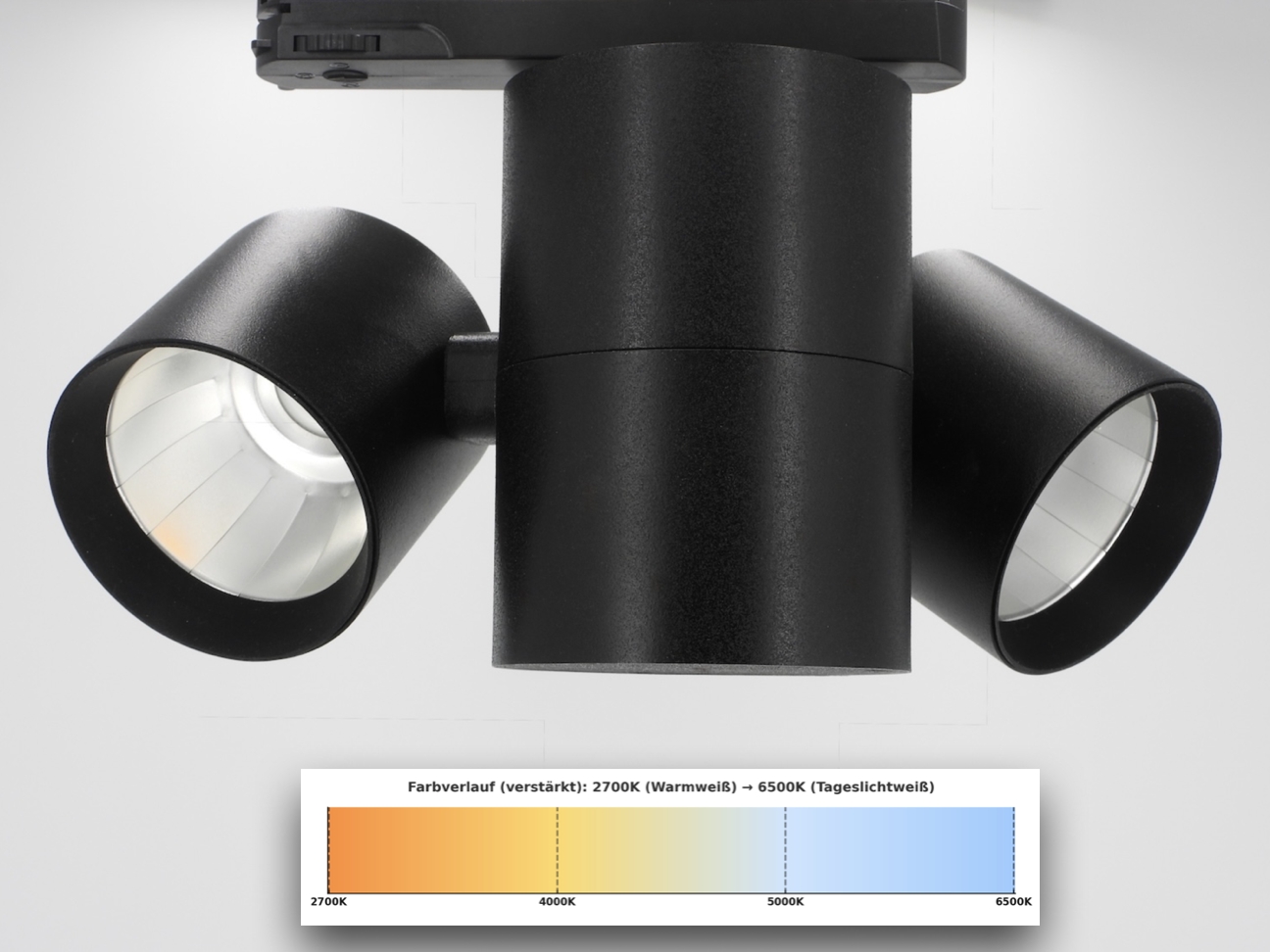 Tunable White Galeriebeleuchtung für perfekte Lichtstimmung Tunable White Galeriebeleuchtung für perfekte Lichtstimmung