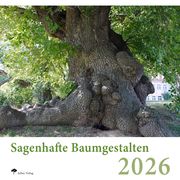 Baumkalender 2026 – Sehnsucht Baum – Baumleben 2026, Sagenhafte Baumgestalten 2026
