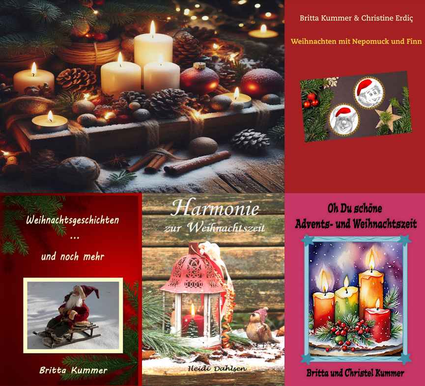 Leseempfehlungen für die Vorweihnachtszeit