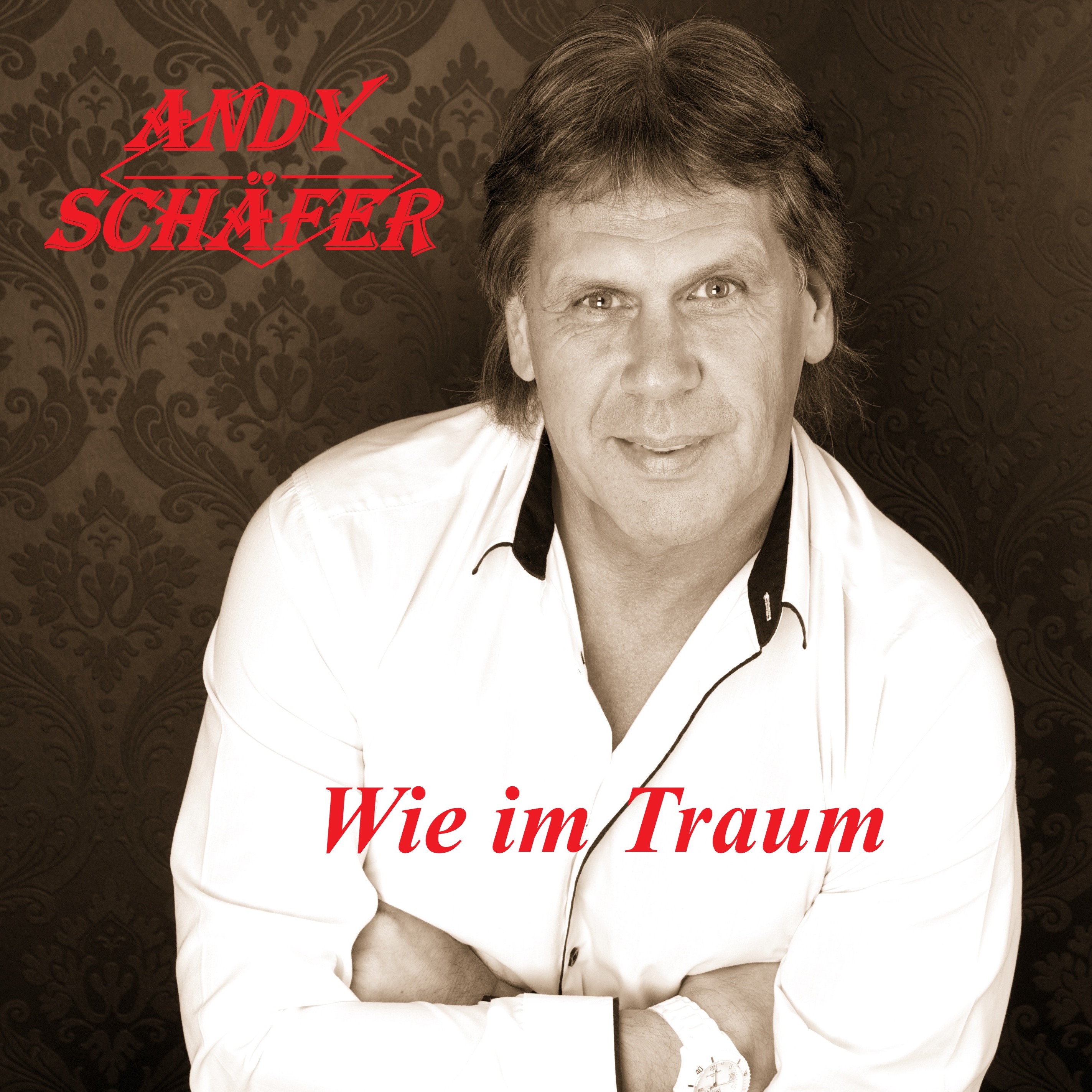 Wie im Traum 2025 – Die Neuaufnahme des alten Hits von Andy Schäfer Wie im Traum 2025 – Die Neuaufnahme des alten Hits von Andy Schäfer