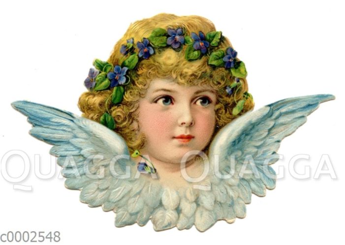 Historische Glanzbilder zwischen Kitsch und Kultur: Neue Kollektion von Quagga Illustrations