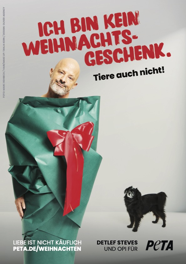 Verpackt als menschliches Geschenk: TV-Liebling Detlef Steves stellt neues PETA-Motiv vor – Tiere sind keine Weihnachtsgeschenke