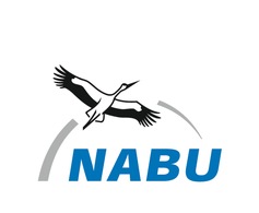 Luftakrobat oder Liebessymbol: Wahl zum Vogel des Jahres 2027 gestartet / Fünf Vögel wollen Nachfolger des Rebhuhns werden