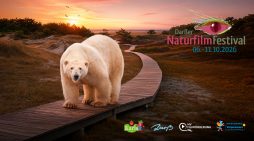 Darßer NaturfilmFestival 2026: Programm veröffentlicht – Deutscher NaturfilmPreis
