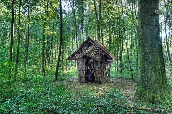 5. Internationaler Waldkunstpfad: Freiheit und Wildnis