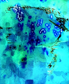 Trialog in der Galerie Rowland Kutschera