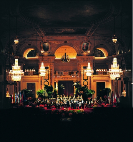 Das Neujahrskonzert 2011 des Wiener Hofburg Orchesters