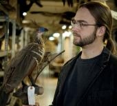 Die Evolution der Vögel