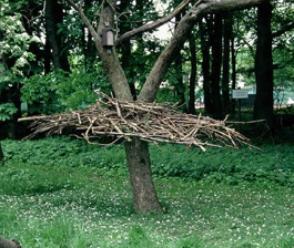 LandArt – Kunstobjekte aus Holz