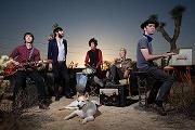 The Duke Spirit: Der Rohdiamant der britischen Indie-Szene auf Clubtour