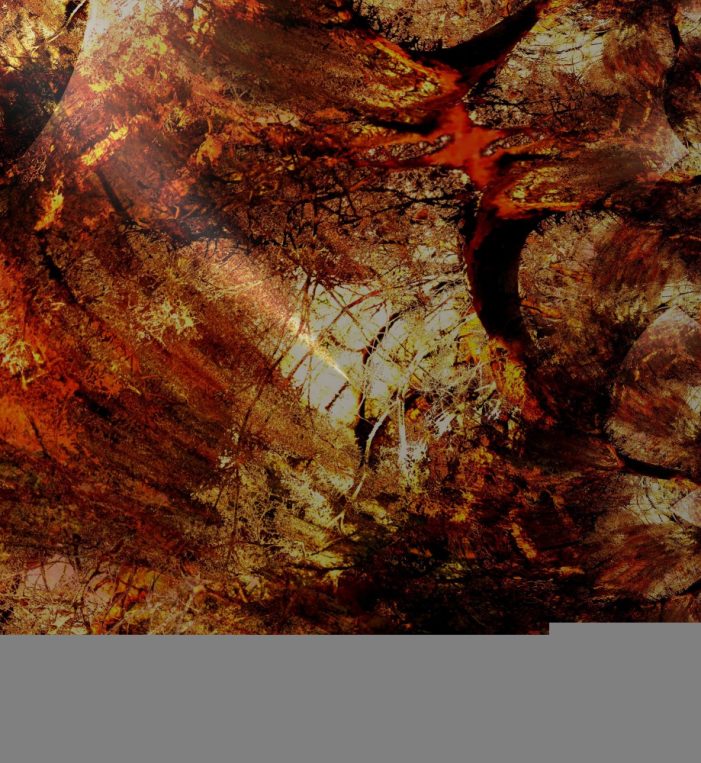 Surreale Welten in der DIVERSITY ART GALERIE