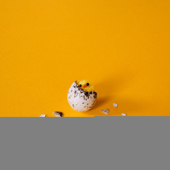 Frühling auf der Osterinsel – Osterferien im FEZ-Berlin