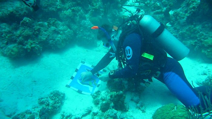 Unterwasserkünstler eröffnet Atelier zum Tag des Wassers