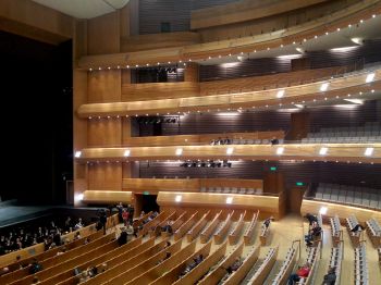 Der Mariinsky-Klang