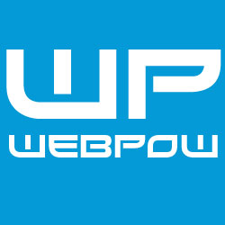Webagentur bietet preiswerte WebsiteErstellung für KMUs
