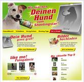 Hundemodels für Scotch-Brite Kalender gesucht