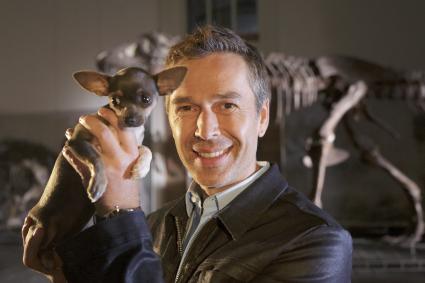 Nachts im Frankfurter Senckenberg Naturmuseum:/
ZDF dreht vierte Staffel der ZDF-Reihe „Terra X: Supertiere“ (BILD)