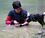 Spiel und Spaß in Flüssen und Seen:  Hunde ans Wasser gewöhnen